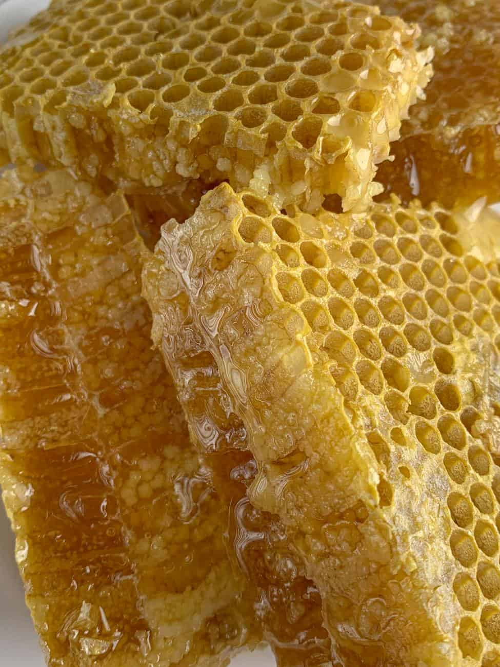 The Ultimate Manuka Honey Handbook: Everything You Need to Know