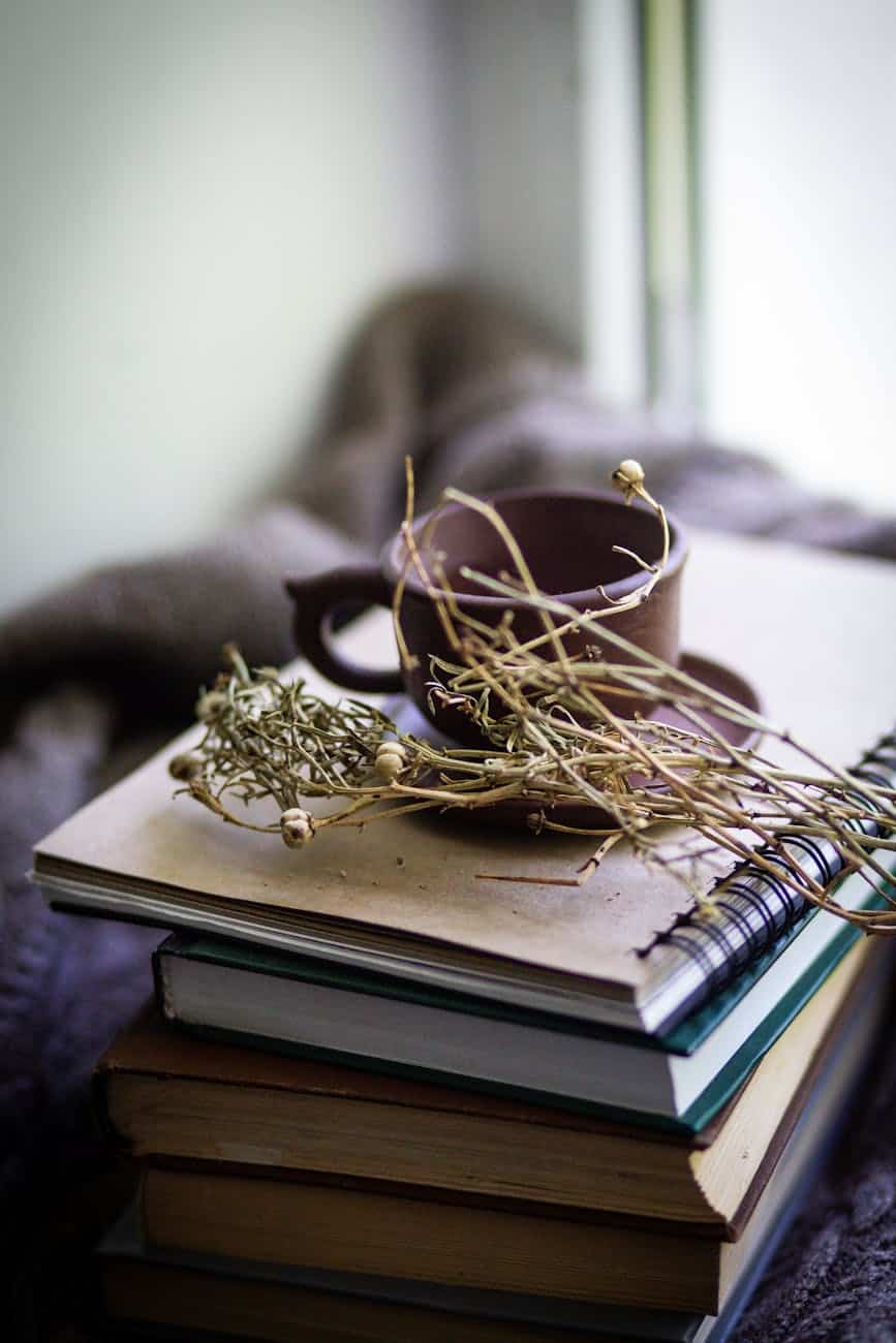 a book a cup of coffee and a plant on top of a stack of books