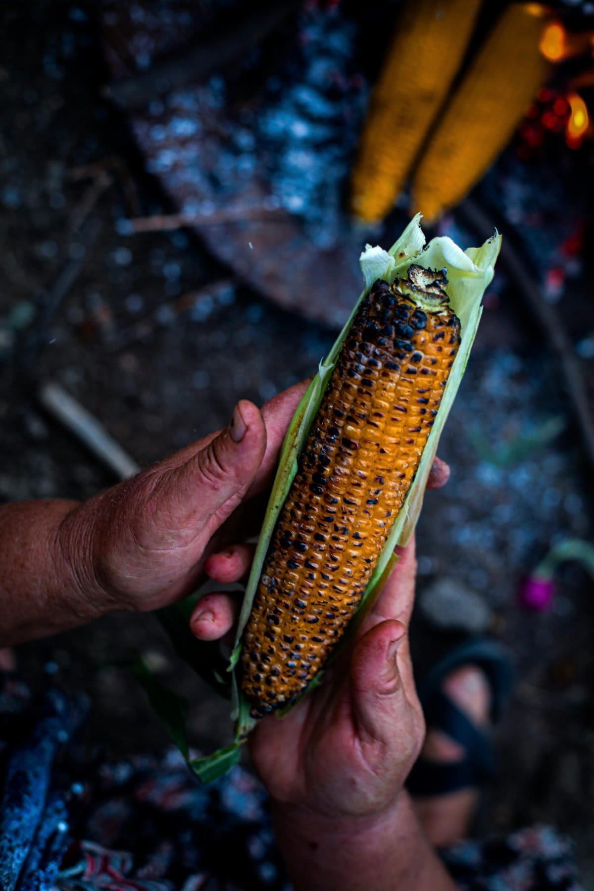 Ultimate Guide to Corn on the Cob: Perfect Cooking, Essential Tips, and Creative Variations